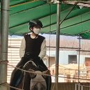 라파승마장
