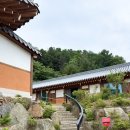 행복한옥펜션 | [서울근교 촌캉스] 백일 아기랑 몸빼바지 입고 떠난 운산재 한옥펜션 힐링 후기
