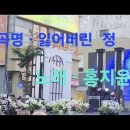 곡명 .잃어버린 정 . 노래 . 홍지윤 이미지