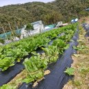 송우농장 이미지