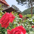 가리왕산팬션 이미지