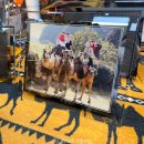 마인드휘트니스 올레시장점 | 제주도 이색체험 제주투어패스 여행코스 낙타트래킹 소요 시간 가격 체험후기