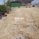 대추공인중개사사무소 이미지