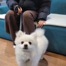 충현목장 이미지