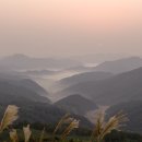 여명목장 이미지