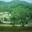 석계마을회관 이미지