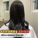 로하헤어