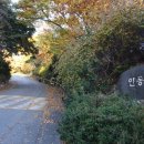 수출대로-36 이미지