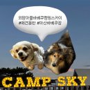 외암마을바베큐캠핑스카이 | 아이·강아지와 함께 즐기는 아산 바베큐장-캠핑 분위기까지 느낄 수 있는 외암마을바베큐캠핑스카이 후기