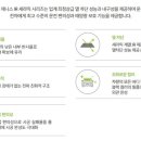 솔라가드THELX