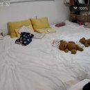 도르멍스테이