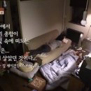 코스모스민박 이미지