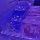 세븐스타 코인노래연습장 가산점 이미지