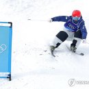 모굴 연합뉴스