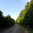 펜션비우고채우는숲 | 제주도 숙소 추천 숨겨진 신비로운 숲속의 고립 제주 에가톳