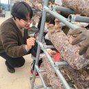 색동유치원 이미지