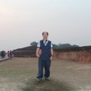 룸비니동산