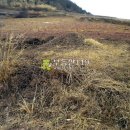 신구리농장 이미지