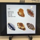 더화이트카페
