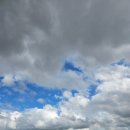 오리창고 | 목포 에그타르트 포장 &amp; 오리날개튀김 내돈내산 후기! (커피창고로 얼리버드점 그리고 용당반점) -[3]