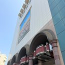 도그앤박스 | 2026 광주 롯데백화점 팝업 스토어 총정리 내돈내산 후기