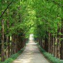 산림기능사 국가기술자격증 이미지