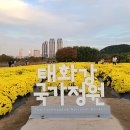은하수 행정사사무소 네이버블로그
