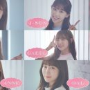 멤버 티브이데일리