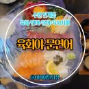 육회야 | [수원 인계동 육회&amp;연어&amp;육사시미 세트 맛집 / 육회야 문연어] 내돈내산 방문 후기