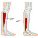 제이엘필라테스 이미지