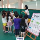 가납초 이미지
