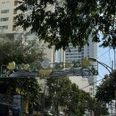 유림-1054 | 베트남 나트랑으로 다녀온 태교여행이라고 쓰고 그냥 부부가 즐거운 여행 | 베트남 여행 준비물 + 임산부