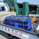 엄궁밧데리 이미지