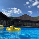 횡성펜션 숲속의쥬얼리 이미지