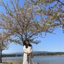 임산시장 이미지