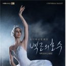 백조의호수