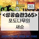 포도나무365