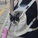 텐마일
