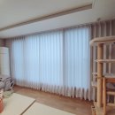 진영냥이 이미지