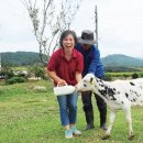 시온목장 이미지