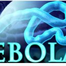 우리들의 신체를 침입하는 에볼라, 바이러스, 박테리아로부터 자신을 보호하는 최선의 방법 이미지