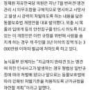 이제 ‘개파라치’가 뜬다···목줄·입마개 안 한 개 신고하면 포상금 이미지