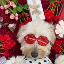 놀러오개(평택점) 이미지