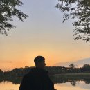 단밤 Daum카페