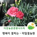 하일농원