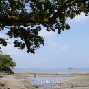 갤러리천수만 이미지