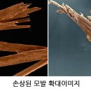 마리클리닉 이미지