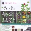 효소지음 이미지