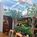 가까운독수리약국 이미지