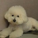 무탄 여의도점 | [여의도]여의도 회식·모임 장소 고민 끝! 고급 중식 맛집 ‘무탄 여의도점’ 솔직 후기